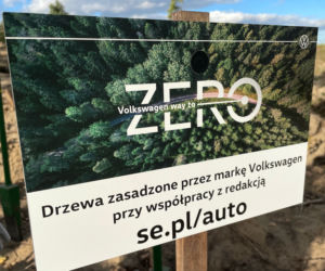 Sadzenie drzew w Czarnowie 
