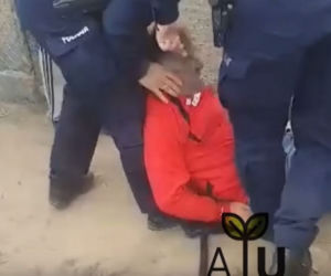 Zatrzymania Gienka z Plutycz przez policję