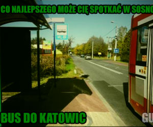 Sosnowiec - memy