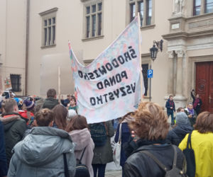 Wielki protest w Krakowie. Strajkowali w obronie klimatu 