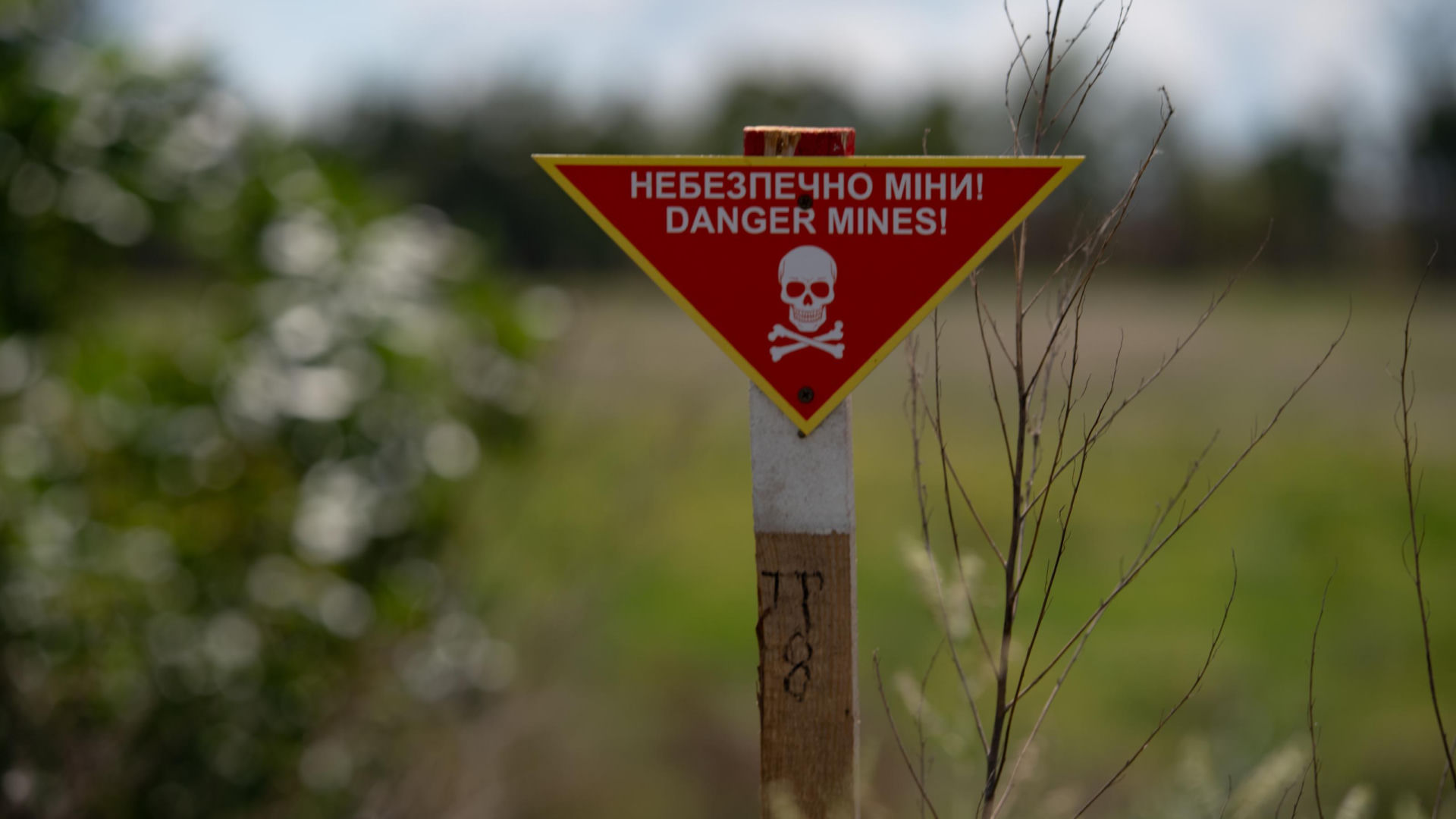 Ukraina walczy z niewidzialnym wrogiem. Kijów apeluje do NATO o wsparcie w rozminowywaniu