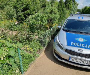 Zakatowali Pawła, bo pobił narzeczoną