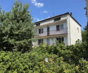 Tak naprawdę wyglądają Wilkowyje z Rancza