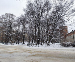 Zima wróciła do Krakowa