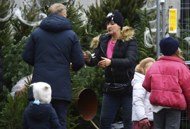 Premier Donald Tusk ma gest? Kupił dwie choinki i odmówił reszty