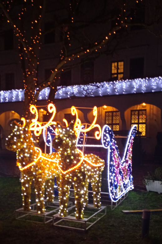 Świąteczne iluminacje na Zamku Książąt Pomorskich w Szczecinie