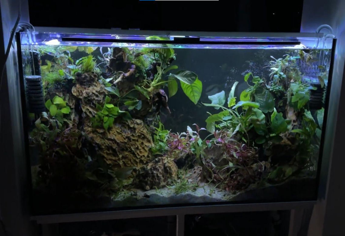 Rozmawiamy z Tomaszem Wiśniewskim, założycielem Aqua Dreams Bydgoszcz