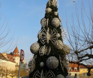 Rynek w Pszczynie