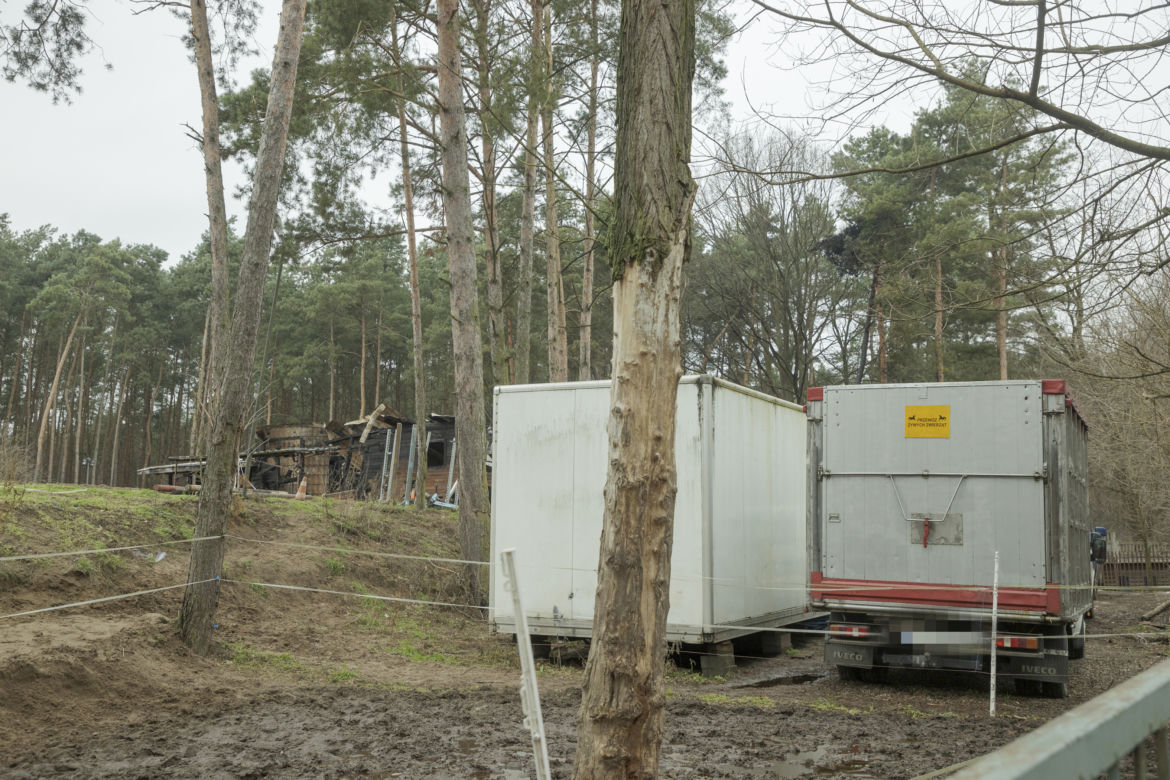  „Chwile przed tragedią miejsce tętniło życiem”. Ogromny pożar stadniny na Białołęce. Spłonęło 8 koni
