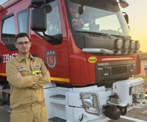Niesamowite, co wydarzyło się pod Lublinem! Myszołów przeżył zderzenie z samochodem