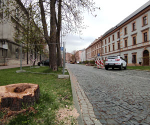 Rozpoczął się remont ulicy Piłsudskiego w Tarnowie