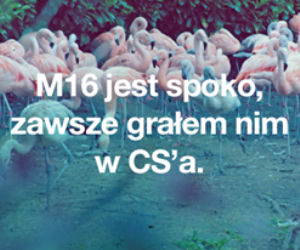 Cytaty z Warsaw Shore