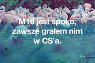 Cytaty z Warsaw Shore