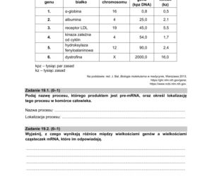 Matura 2021: Biologia. Arkusze CKE z biologii znajdziesz tutaj [Matura 12.05.2021]