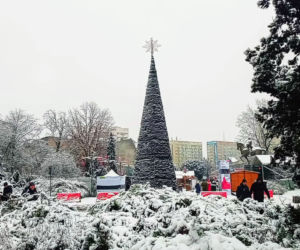 Pierwszy śnieg w Szczecinie