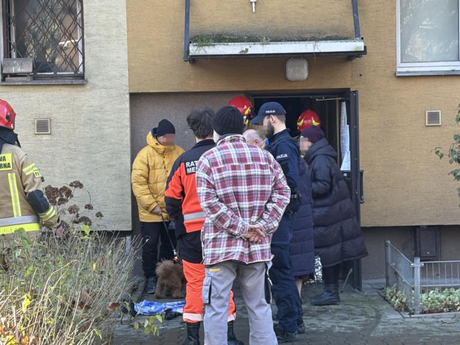 Pożar mieszkania na parterze. Strażacy z ognia wynieśli przerażonego kota