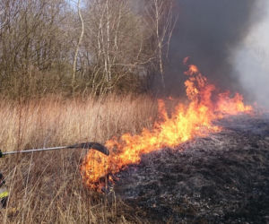 Mieszkańcy Podkarpacia masowo wypalają trawy