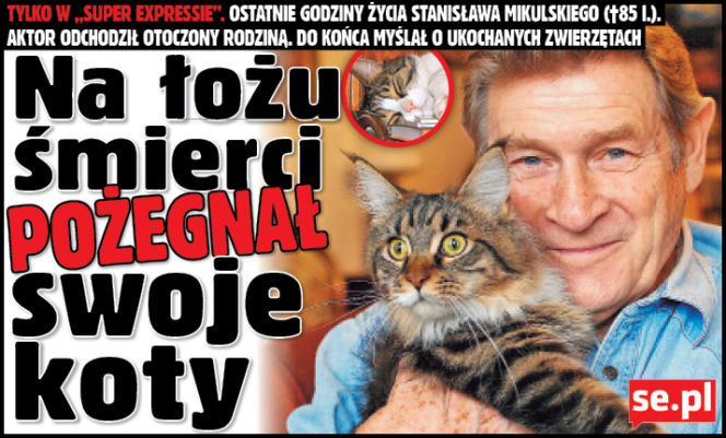 Na łożu śmierci pożegnał koty