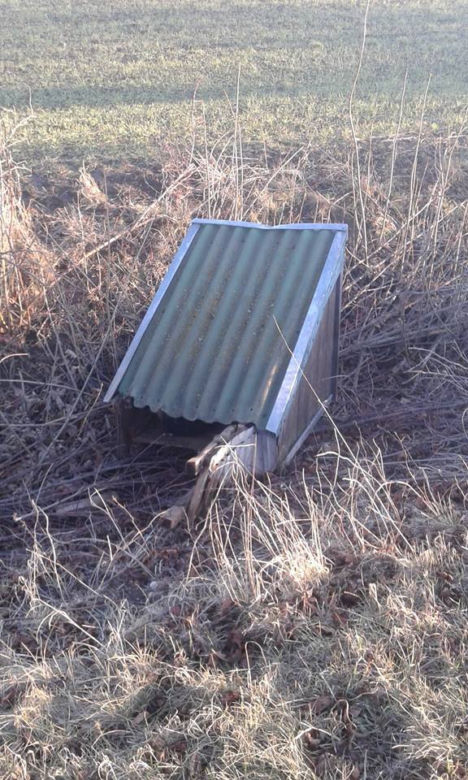 Pies porzucony razem z budą w rowie. „Szukamy zwyrodnialca”