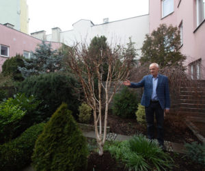 Politycy od kuchni. Z wizytą u Stefana Niesiołowskiego