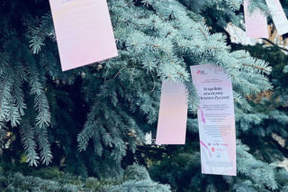 Drzewo Życzeń - niezwykły gest wsparcia dla kobiet z rakiem piersi