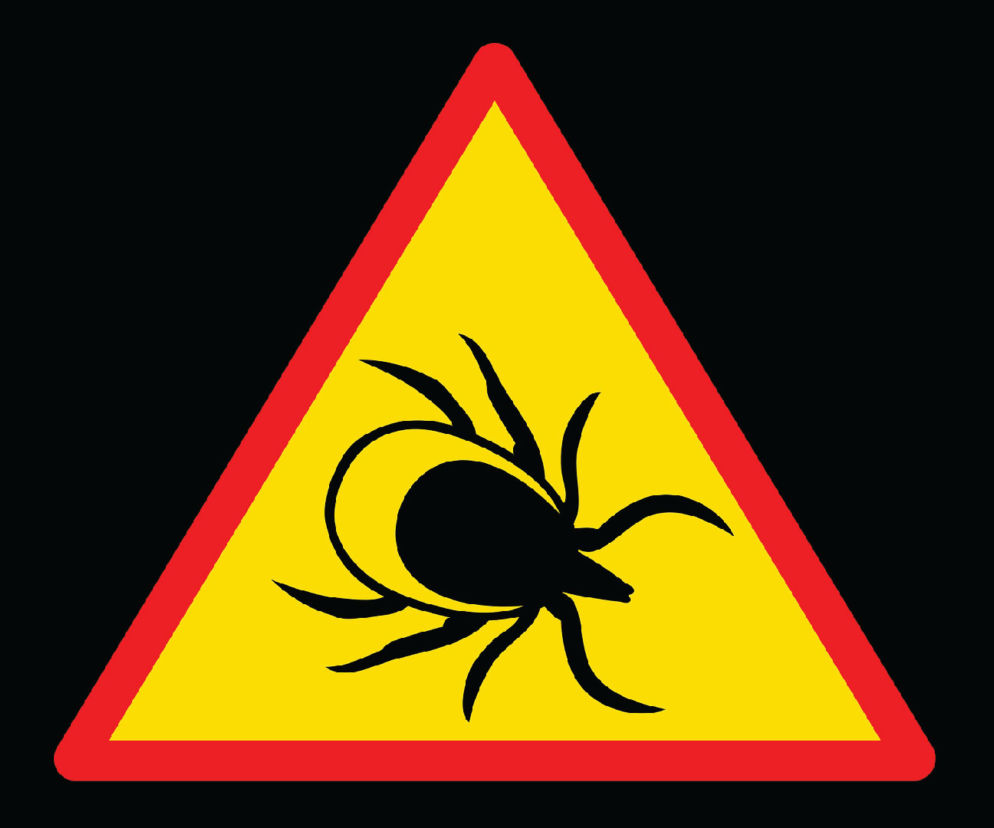 Kleszcz