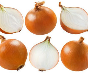 Cebula