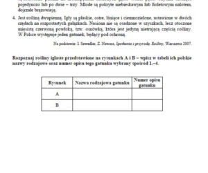 Matura 2019 biologia - poziom rozszerzony