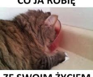 Najlepsze memy o studentach!