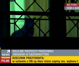 Kot Kaczynskiego