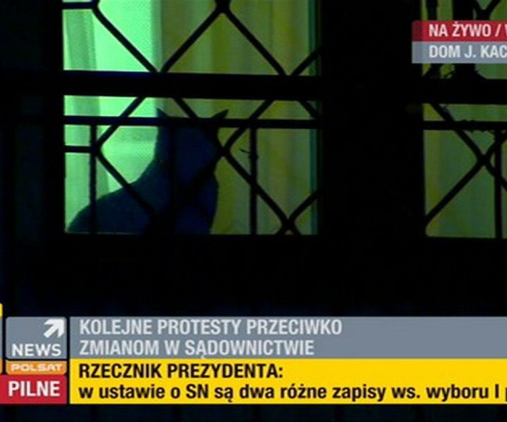 Kot Kaczynskiego