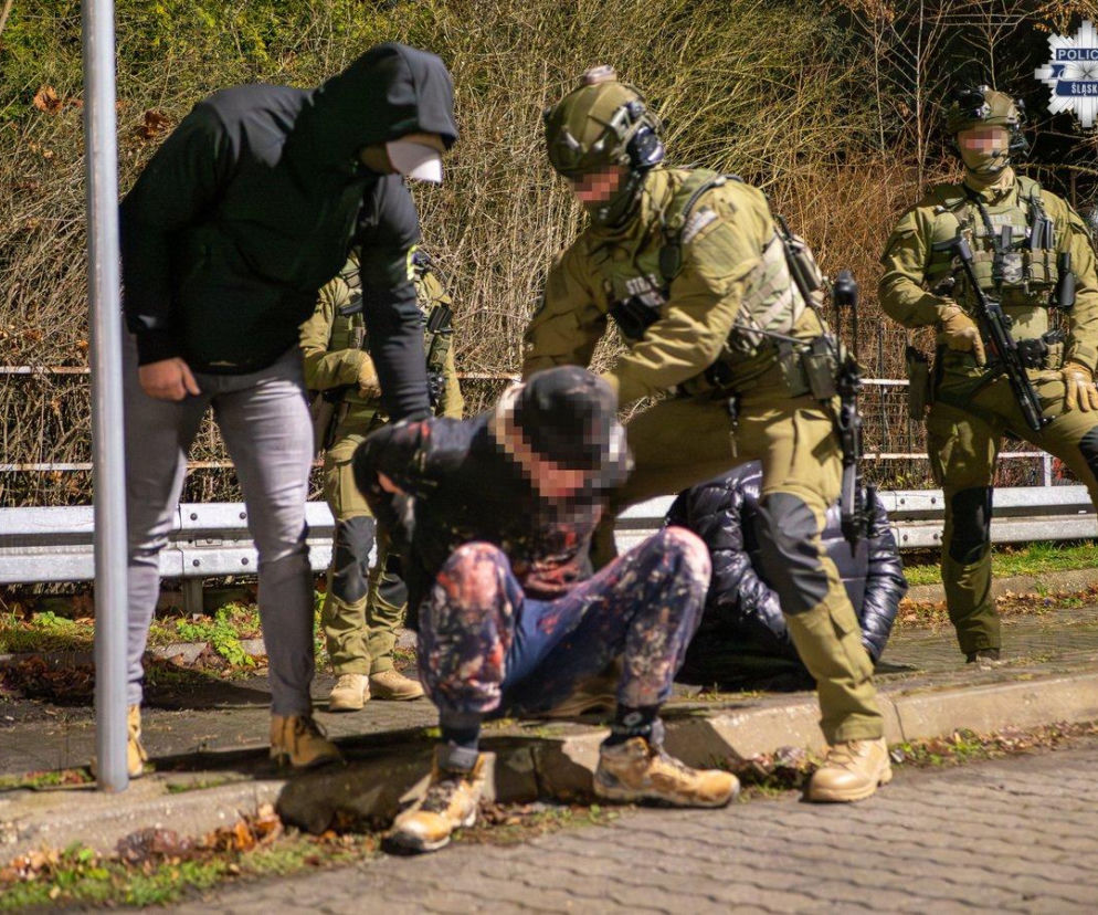  Rozbili gang pseudokibiców na Śląsku! Mieli zarabiać krocie na przemycie ludzi i narkotyków