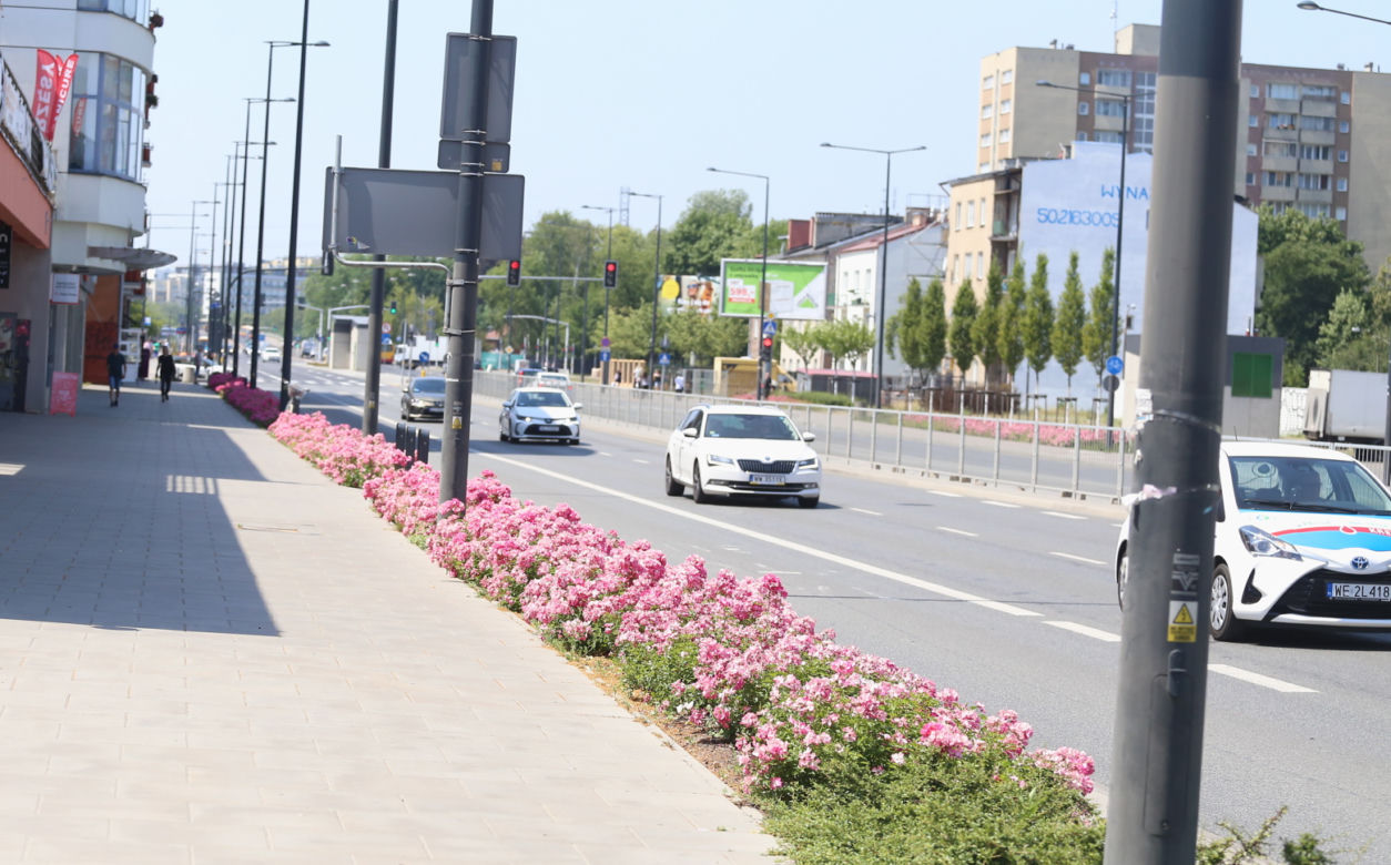 Wylali tu morze betonu”. Przy nowych stacjach metra na Bemowie zieleni jest jak na lekarstwo