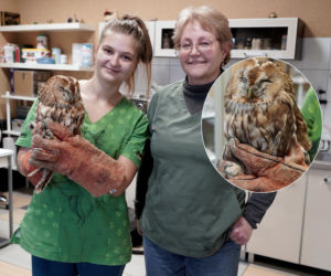 Zabrakło jej energii i nadziei. Siedziała nieruchomo przy drodze