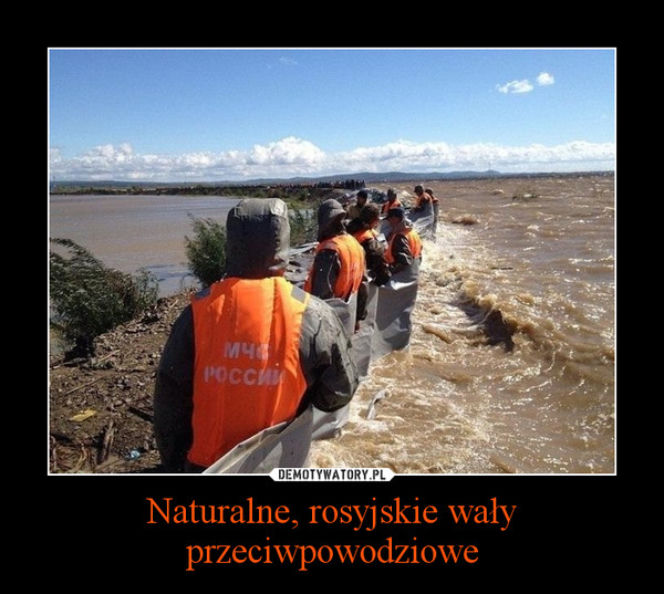 1379440595_tnkvio_600