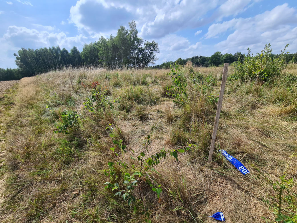 Zabójstwo w Sołonce. Mąż miał zabić żonę [GALERIA]