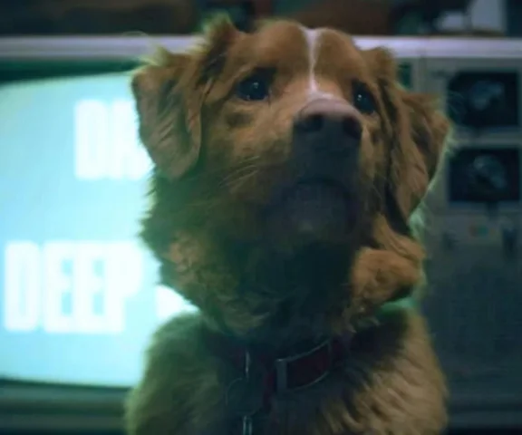 Pies z filmu “Good Boy” zapisał się w historii kina! To pierwsze zwierzę z prestiżową nagrodą!