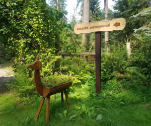Leśne Arboretum Warmii i Mazur w Kudypach