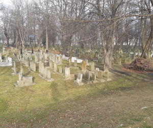 To wzór dla całej Europy. Naczelny rabin Polski chwali Tarnów