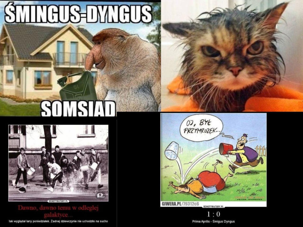 memy lany poniedziałek