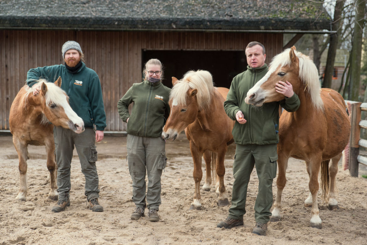 Pracownicy zoo i ratownik medyczny uratowali życie mężczyzny