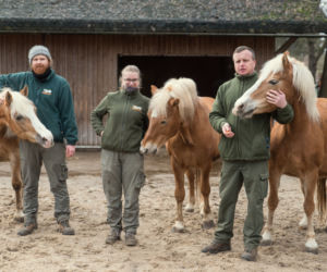 Pracownicy zoo i ratownik medyczny uratowali życie mężczyzny