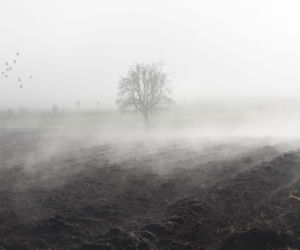 Mgły opanują Polskę. Pogodny dzień, ale mróz w nocy. Pogoda IMGW na czwartek 5.03