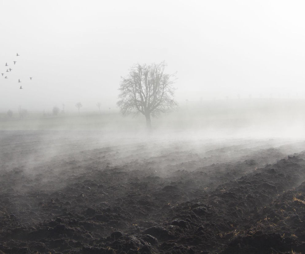 Mgły opanują Polskę. Pogodny dzień, ale mróz w nocy. Pogoda IMGW na czwartek 5.03