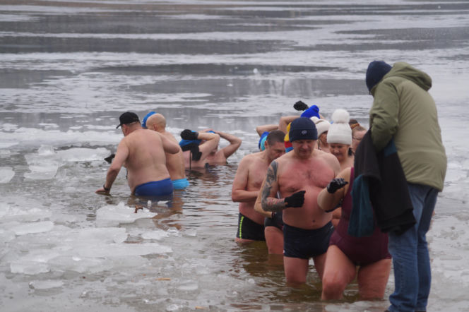 Lodowata woda, gorące emocje. Morsy znów opanowały jezioro pod Bydgoszczą