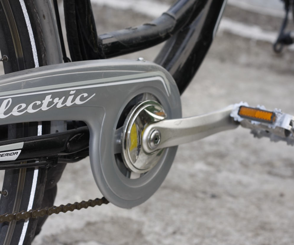 Cargo bike