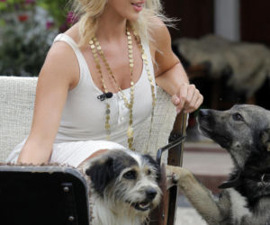 Goście Zespołu ds. Ochrony Zwierząt w Sejmie