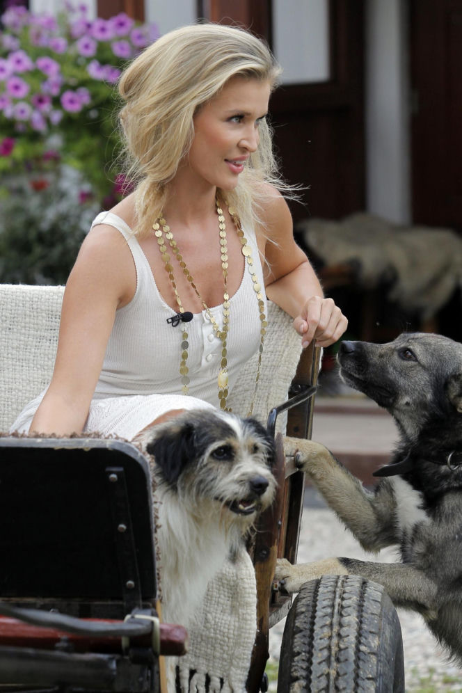 Goście Zespołu ds. Ochrony Zwierząt w Sejmie