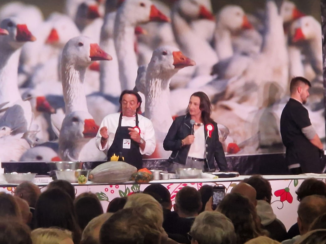 Kujawsko-Pomorski Festiwal Gęsiny 2025: Pokaz Michela Morana i tłumy uczestników