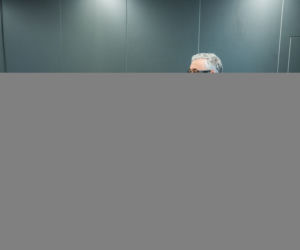 Polski Kongres Gospodarczy